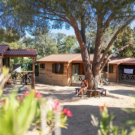 Feriendorf La Mora كالفي المظهر الخارجي الصورة
