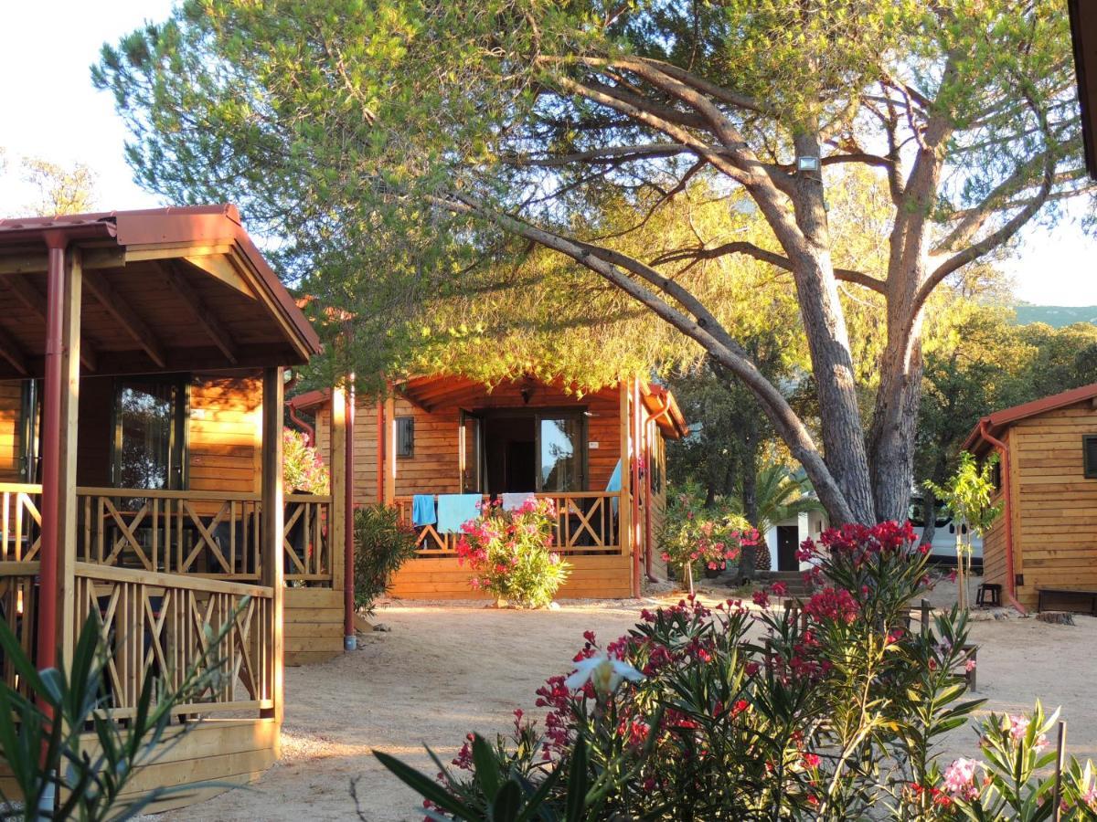 Feriendorf La Mora كالفي المظهر الخارجي الصورة