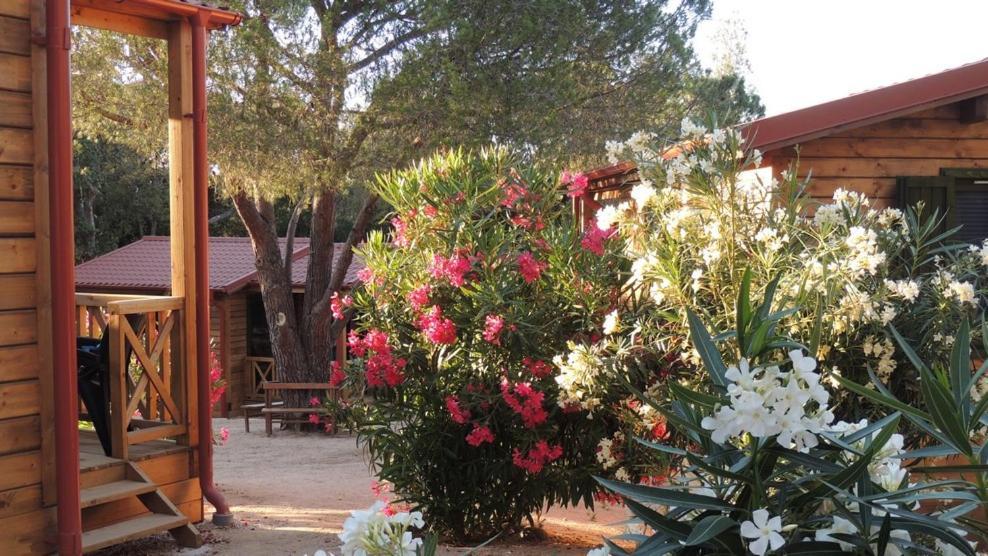 Feriendorf La Mora كالفي المظهر الخارجي الصورة